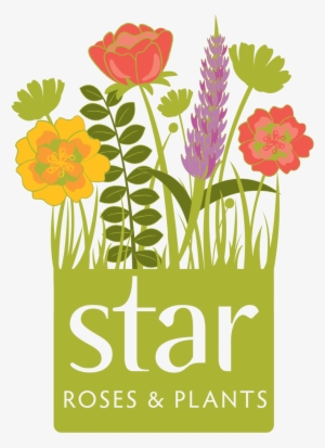 Srp Logo - Star Roses And Plants Logo