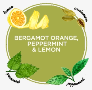 Ingredients Bergamot Orange, Peppermint And Lemon Natural - Hereafter Blu Ray