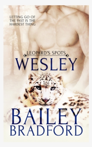 Wesley Revamp 9781786516466 Xlrg-400x400 - Book