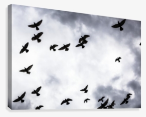 Low Angle View Of Silhouetted Flock Of Birds Flying - Flock Of Birds Against Clouds Canvas