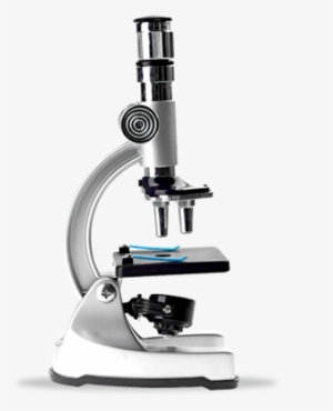 Lab Tools Png Download Image - Photograph