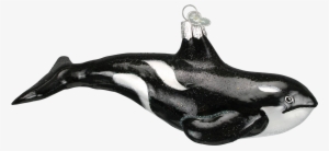 Click - Old World Christmas Orca Whale Glass Ornament