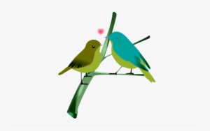 Love Birds Png - Love Bird Png Hd