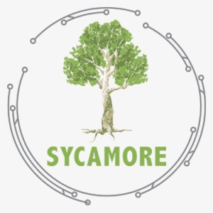 Sycamore International - Sycamore International, Inc.