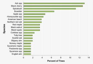 Percentage Of Trees In Wooded Category Of Land Use, - Number