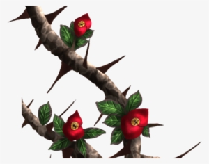 Thorn Vines Crown Of Thorns Painted By Dameodessastock - Rose Thorns Png