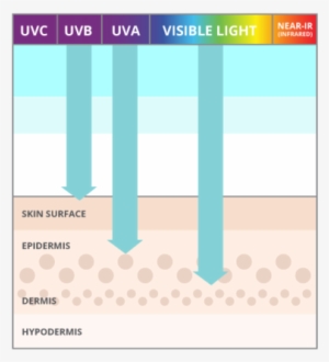 Blue Light Bad For Your Skin - Uv A And Uvb