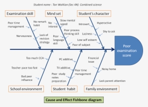 Fishbone Diagram For Thesis - Cause And Effect Diagram For Students
