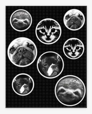 Animal Face Sticker/decal Sheet