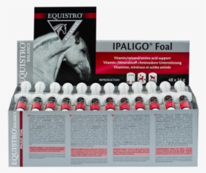Equistro® Ipaligo Foal - Ipaligo Foal