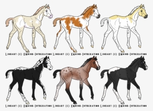 Foals From Pregnant Mare Auction By Storybookrosesadopts - Horse Foals Deviantart
