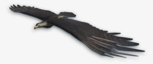 Far Cry 3 Black Eagle