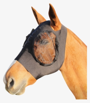Earless Lycra Fly Mask - Masque Anti Mouche Cheval