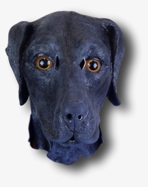 Black Labrador Mask Rj V=1520980823 - Labrador Retriever