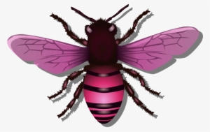 Bee Pink Image - Clipart Bee Insect