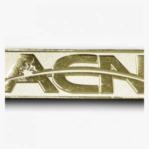 Acn Lapel Pin Gold - Airliner