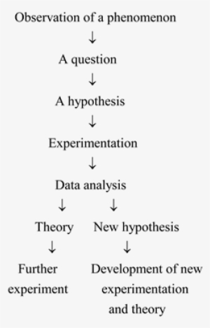 The Scientific Method Is A Systematic Approach To The - Document