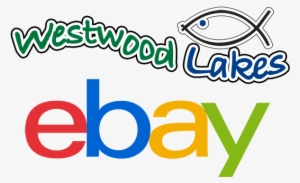 We Have Found That The Best Way To Give You The Range - Ebay Gift Card 25