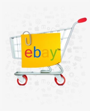 Ebay Store Development - Customer Shopping Behaviour In Indian Organised Retail