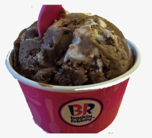 Baskin Robbins Ice Cream Chocolate - Baskin Robbins History