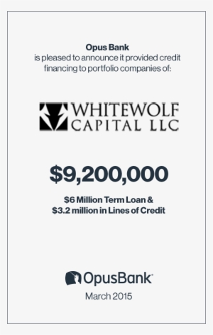White Wolf Capital - Paper Product