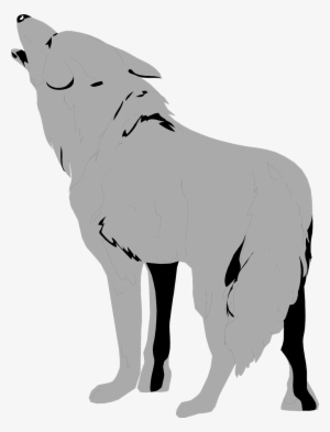 Wolf Clipart Transparent Background Pencil And In Color - Wolf Clipart Transparent Background