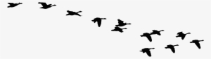 This Free Icons Png Design Of Flock Of Flying Geese