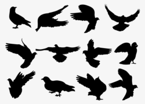 paloma silhouettes vector - vectores palomas png