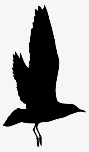 Free Png Bird Silhouette Png Images Transparent - Silhouette