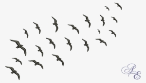 Flock Of Birds Silhouette Png - Silhouette Flock Of Bird