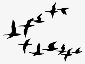 Vector - Flock Of Birds Clipart