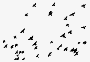 This Free Icons Png Design Of Flock Of Pigeons Silhouette