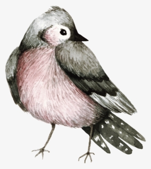 Practical Watercolor Bird Decoration Transparent - Watercolor Painting