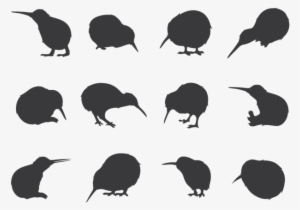 Birds Vector Kiwi - Kiwi Bird Silhouette