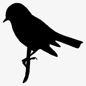 Digital Bird Silhouette Downloads - Digital Stamp