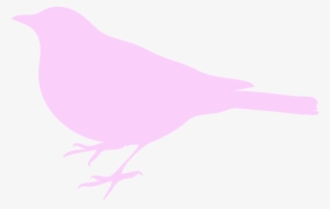 Pink Bird Silhouette - Transparent Birds Silhouette Clipart