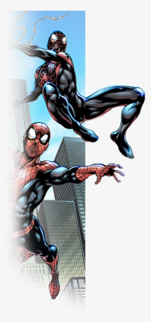 Oscar Bazaldua Spider Man