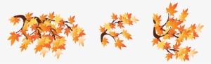 Fall Branches Png
