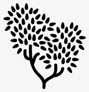 Tree With Leaves Foliage Vector - Portable Network Graphics