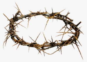 Crown Of Thorns Png Hd Transparent Crown Of Thorns - Corona De Espinas Png