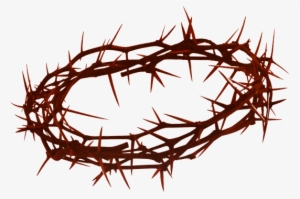 Crown Of Thorns Png Hd Transparent Crown Of Thorns - Transparent Background Crown Of Thorns Png