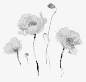 Dead Flowers Tumblr Png