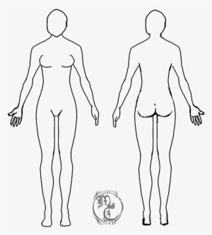 Drawing Format Person - Cuerpo Humano Mujer Dibujo