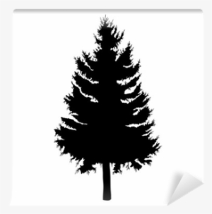 Hand Drawn Fir Tree Vector Illustration - Pine