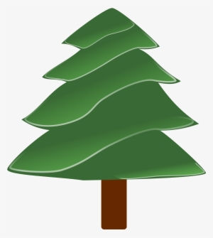 Christmas Plant Xmas Pine Free Photo From - Evergreen Clipart