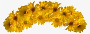 Transparent Flower Crown Png - Yellow Flower Crown Png