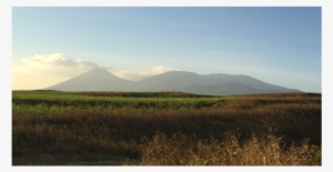 El Sal Mountains - Field