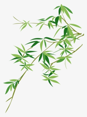 Collection Of Free Bamboo Vector Chinese - Chinese Bamboo Vector Png