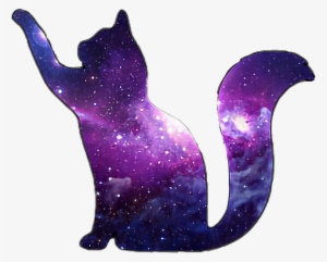 Purple Cat Scpurple Galaxy Cat Galaxycat Blue Freetoedi - Purple Galaxy Cat