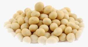 We Read Or Hear Different Opinions About Soy, Some